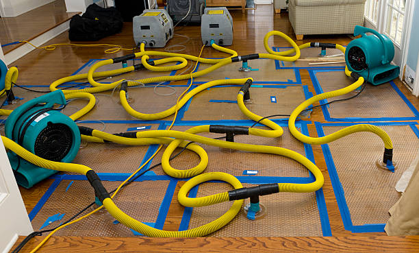 Professional Basement Flood Cleanup technician working in Glencliff, NH